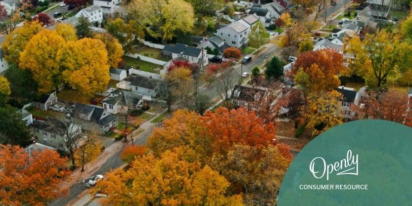 An aerial shot of houses and trees.