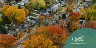 An aerial shot of houses and trees.