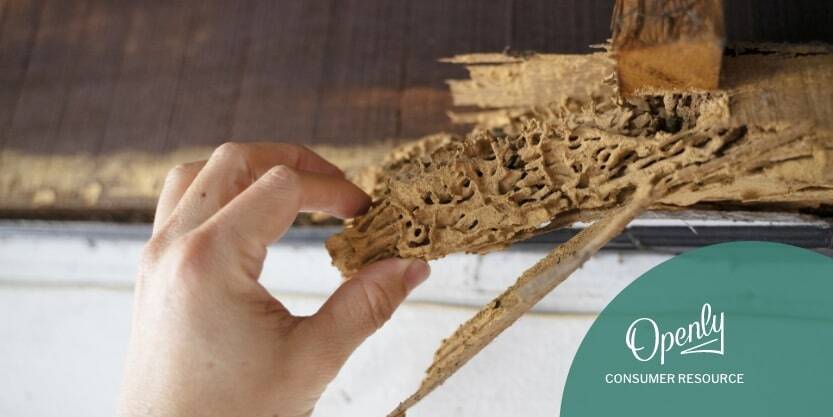 A hand grabs termite-damaged wood off the side of a house.